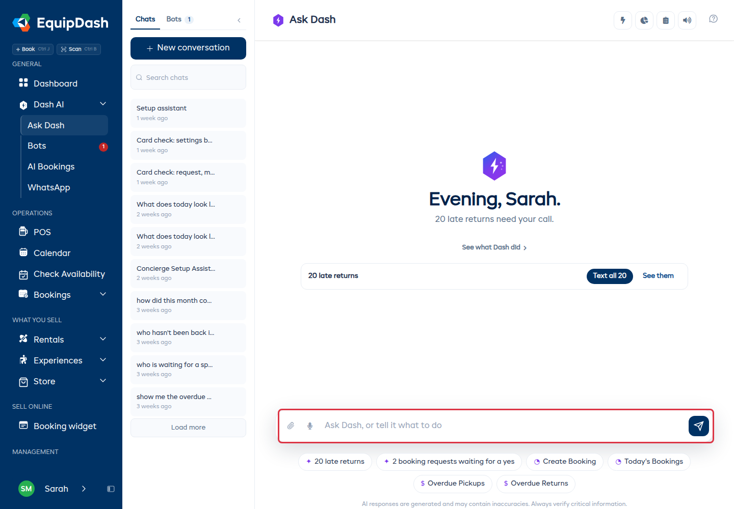 The AI Assistant full-page view with the message input area at the bottom where you type your questions and commands