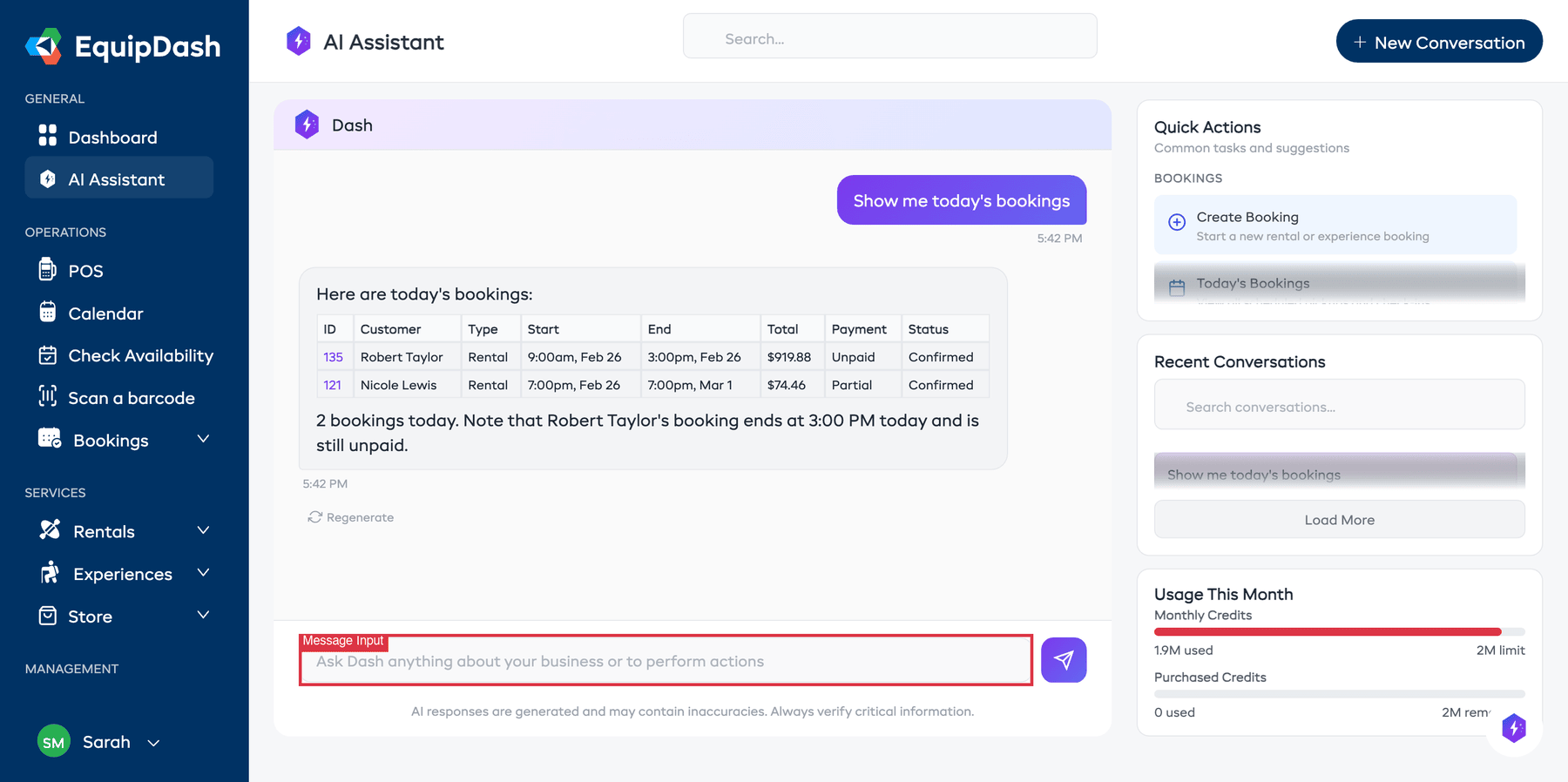 The AI Assistant full-page view with the message input area at the bottom where you type your questions and commands
