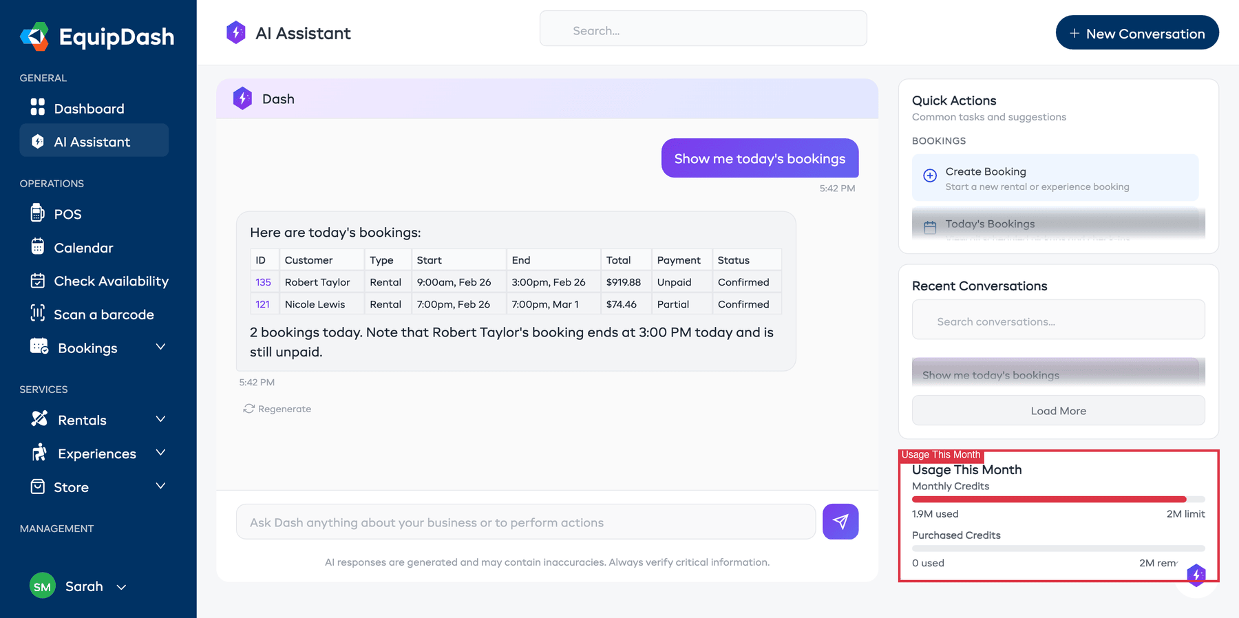 The Usage This Month section in the AI Assistant full-page view, showing monthly credits progress bar, purchased credits, and usage totals