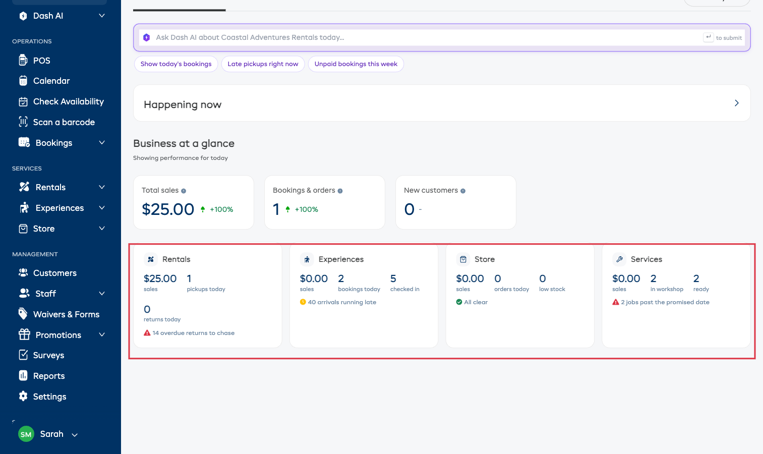 The per-line summary cards โ Rentals, Experiences, Store, and Services โ each with sales, live counts, and an attention line