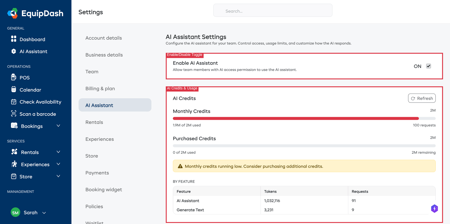 The Settings > AI Assistant page showing the enable/disable toggle and AI credits usage with monthly and purchased credit bars, usage by feature, and usage by team member