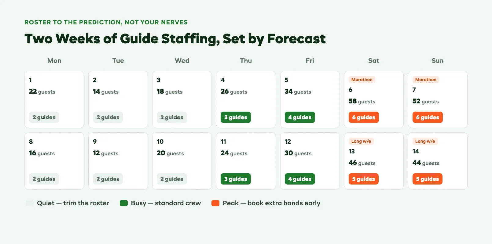 Two-week guide staffing calendar that rosters the predicted number of guides per departure against forecast bookings, flagging the days that need extra hands