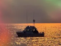 Lynn A Fishing Charters logo