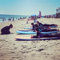 Wildflow Surf Co. logo