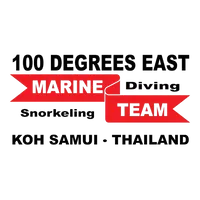 100 Degrees East logo