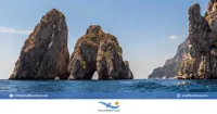 Amalfi Boat Tour logo