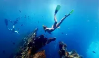Bali Snorkeling Tour logo