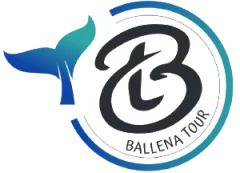 Ballena Tour Costa Rica logo