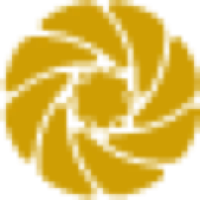 Big Sur Adventures logo