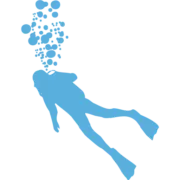 Blue Adventures Diving logo