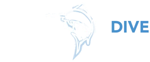 Blue Marlin Dive Gili Trawangan logo