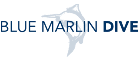 Blue Marlin Dive Lombok logo