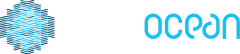 Blue Ocean Surf School logo