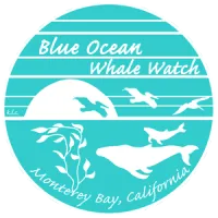 Blue Ocean Whale Watch logo