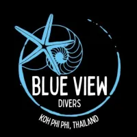 Blue View Divers logo