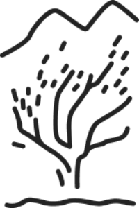 Bungarra Alpine Centre logo