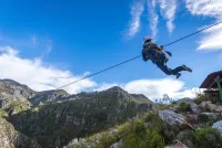 Cape Canopy Tour logo