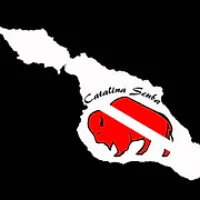 Catalina Scuba logo