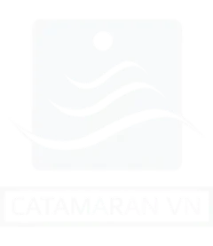 Catamaran VN logo