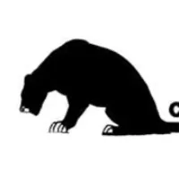 Catamount Fishing Adventures logo