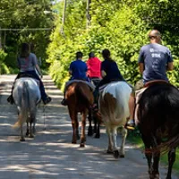Cindy's Riding Stable logo