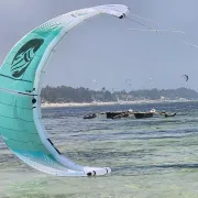 Coconuts Kite School logo