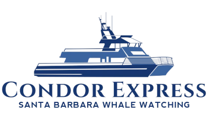 Condor Express logo