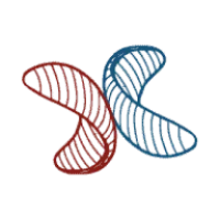 Condor Xtreme logo