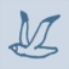 Coromandel Ocean Adventures logo