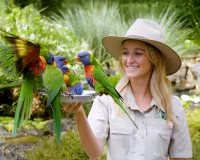 Currumbin Wildlife Sanctuary Segway Tours logo