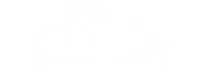 Danang Motorbike Adventure logo