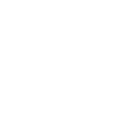 Die Boerse logo