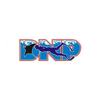 Discover Nusa Penida logo