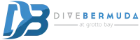 Dive Bermuda logo