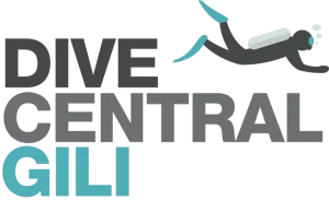 Dive Central Gili logo