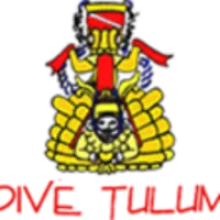 Dive Tulum logo