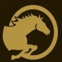 Dixie Trail Rides logo