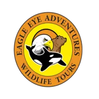 Eagle Eye Adventures logo
