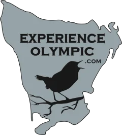 Experience Olympic logo