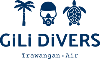 Gili Divers logo