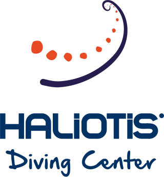 Haliotis Peniche Dive Center logo