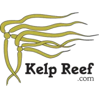 Kelp Reef Adventures logo