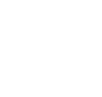 Lizard Adventure logo