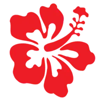 Merrick's Noosa Learn to Surf logo