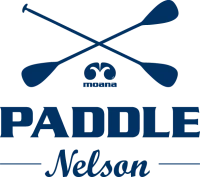 Paddle Nelson logo