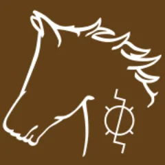 Pingo Salvaje logo
