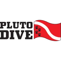 Pluto Dive logo