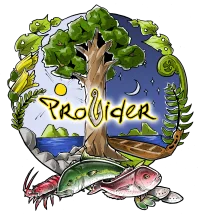 Provider Retreats & Adventures logo