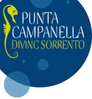 Punta Campanella Diving logo