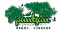Puntzan Canopy logo